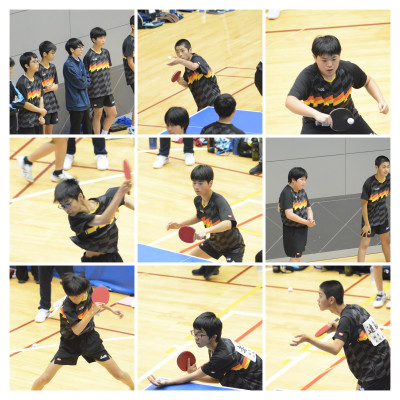 DSC_9510-COLLAGE
