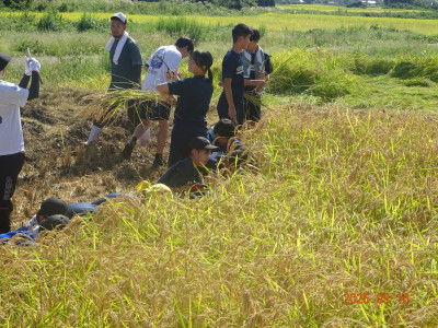 DSC01150