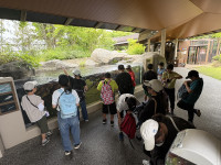 IMG_1904 (1)