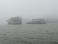 IMG_1916