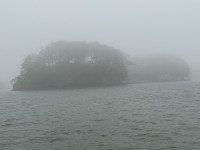 IMG_1915