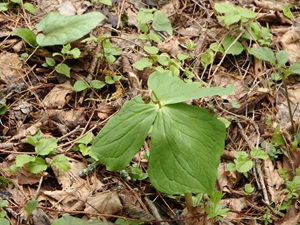P5120202