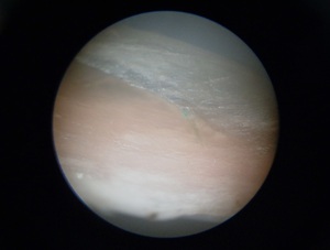 DSC09774