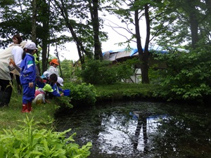 IMGP0382