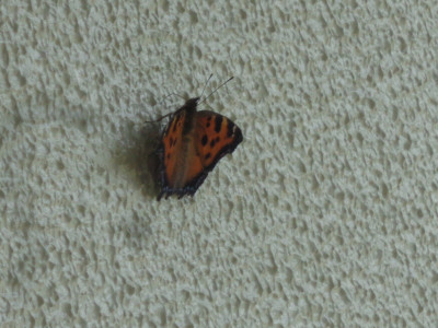 DSC01956