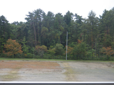 IMGP1555